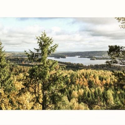 Naturreservat Gårdsviksfjället