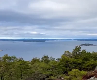 Genom urskog mot makalös utsikt maj