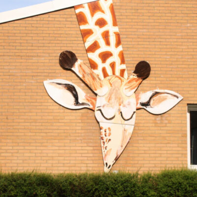 Giraffen