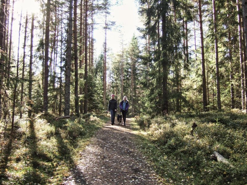 Silleruds Station
