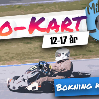 Gokart