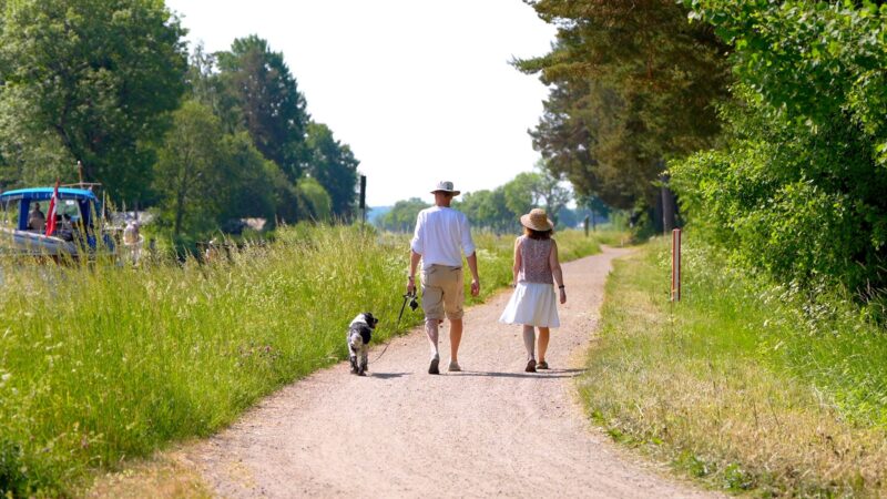 Göta kanal med din bäste vän – Hunden!