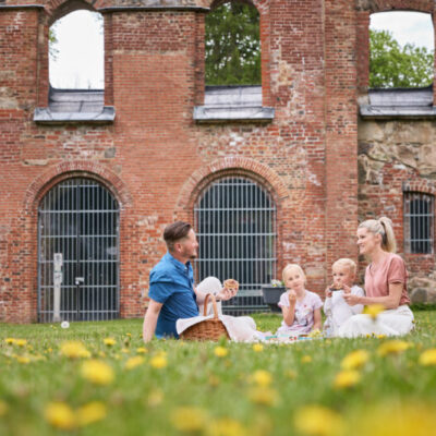 Gräfsnäs Castle ruin