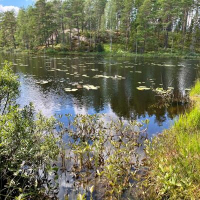 Gratis guidad vandring: Kroppefjälls vackra norra våtmark