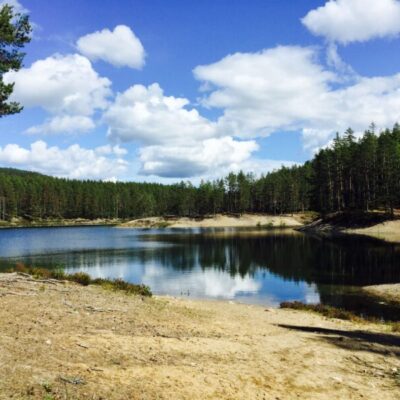 Gröntjärns naturreservat