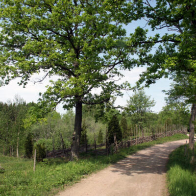 Gruvrundan på Bölet
