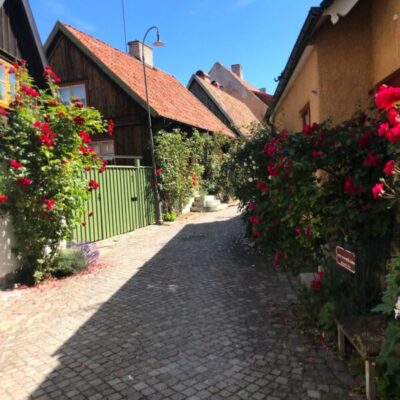 Guidad stadsvandring i Visby