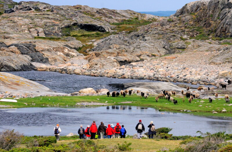 Guidad vandring på Nordkoster