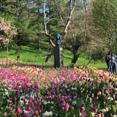 Guidad visning i Botaniska i Göteborg: Vårblomning