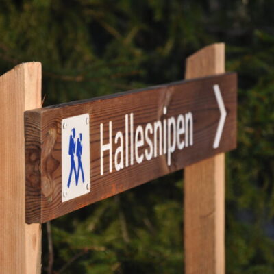 Hallesnipen