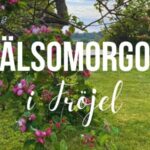 Hälsomorgon i Fröjel