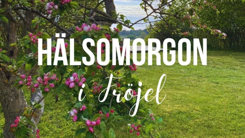 Hälsomorgon i Fröjel