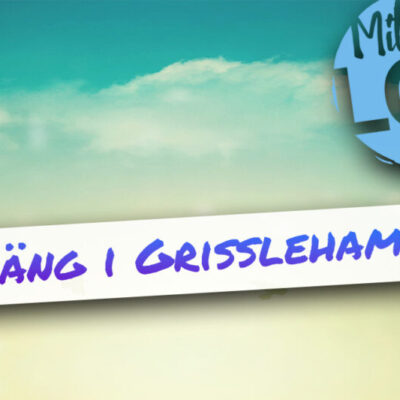 Häng i Grisslehamn
