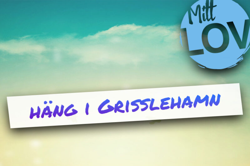 Häng i Grisslehamn