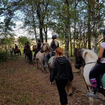 Hansagården Islandshästar