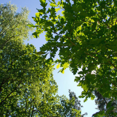 Hästhagen nature reserve