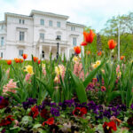 Hela programmet: Nolhaga slott, park och trädgård