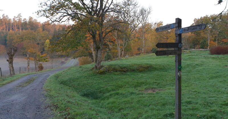 Hiking and jogging on Halle-Hunneberg