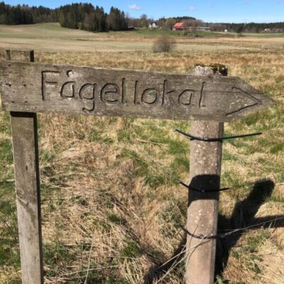 Hillingsätersjöns fågellokal