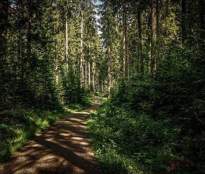 Hofors Motionsspår