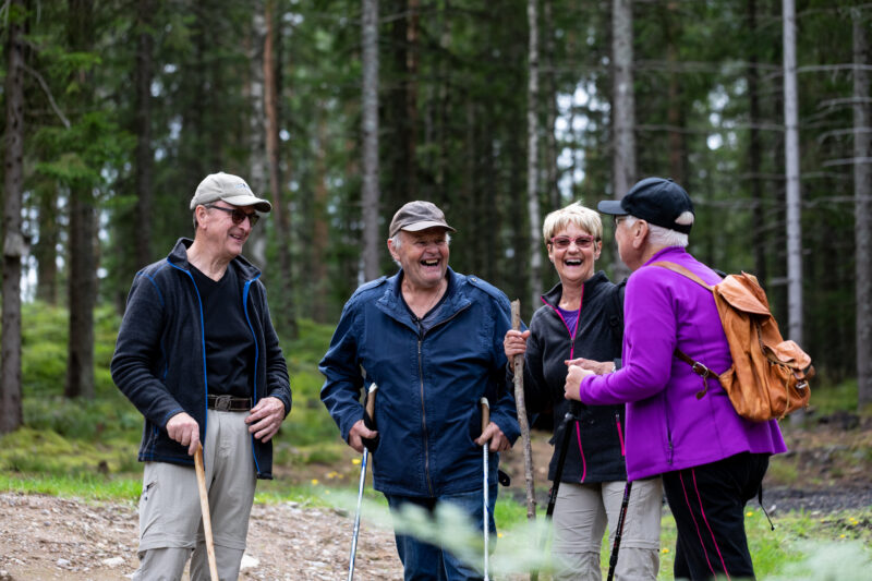 Högsåsen, Led F Roparkorsleden