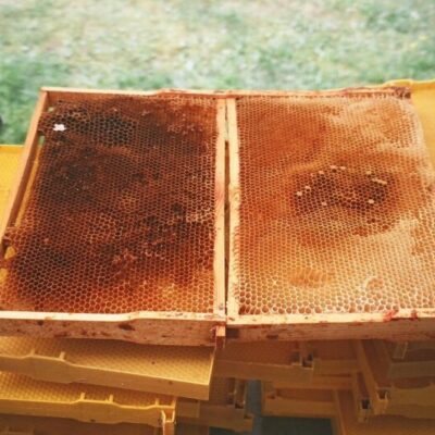 Honey from Grevbäck