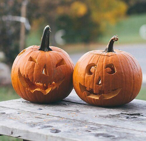 Höstlov & Halloween på Högbo Bruk