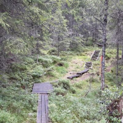 Hovfjället, naturreservat