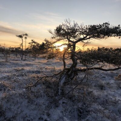 Christinehamns fiskevårdsförening