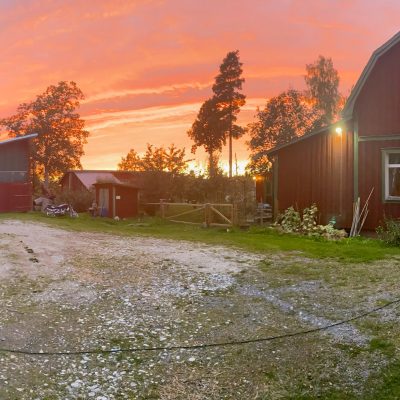 Bromanders får och rekreationsgård