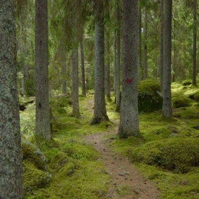 Vargavidderna - Naturreservat