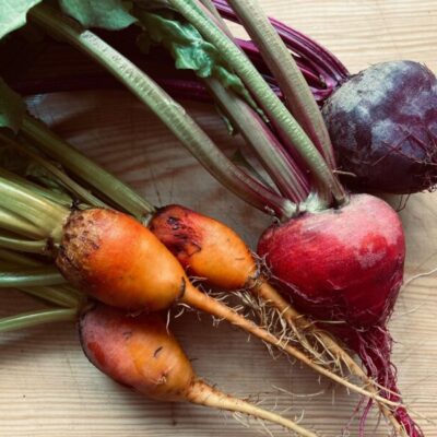 Innegården i Västtjär – Ilsbo – växtodling & gårdsbutik