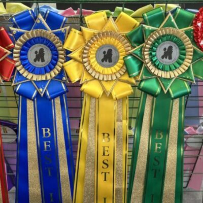 Inofficiell Hundutställning Svenskholmen