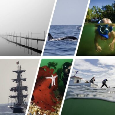 INVIGNING AV FOTOUTSTÄLLNIG – MÄNNISKAN & HAVET