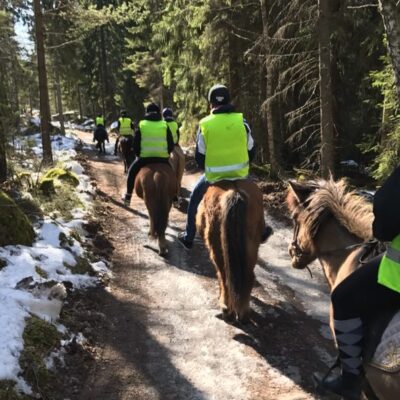 IsKroken Islandshästar