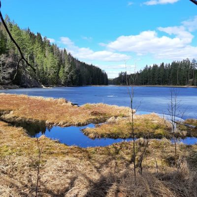 Öjenäsbäcken Naturreservat