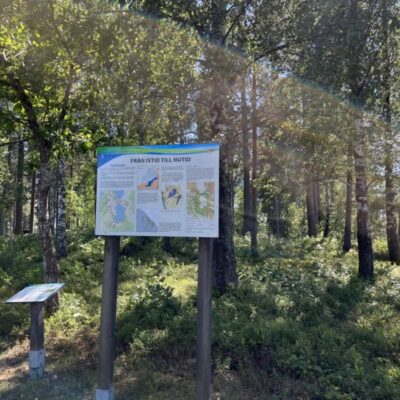 Istidsleden