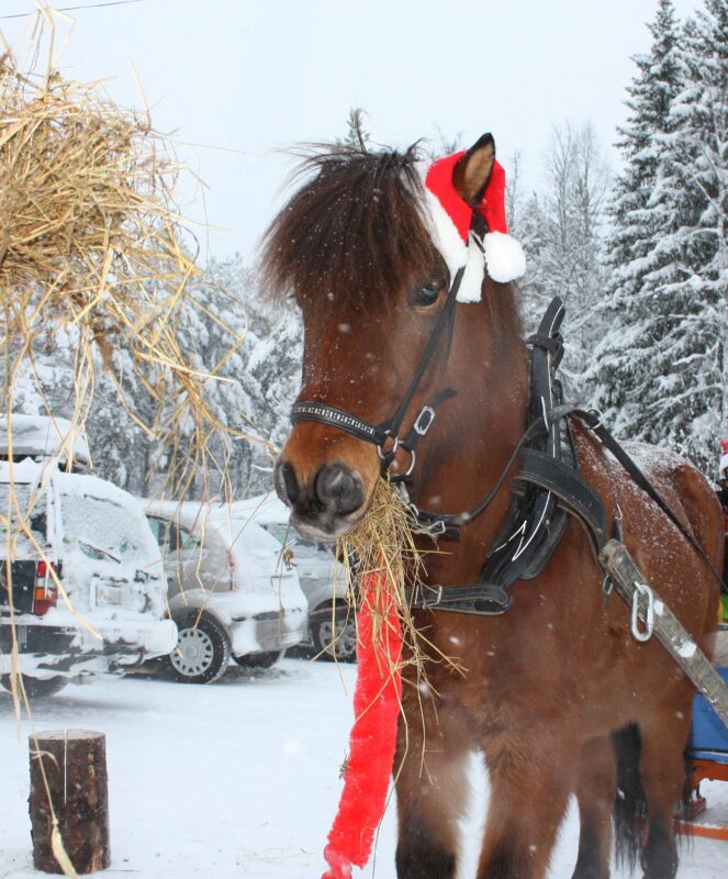 Julmarknad Lingarö
