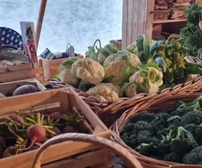 Källtorps grönsaksodling och gårdsbutik – mathantverk