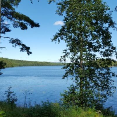 Kalvensjöarnas FVO