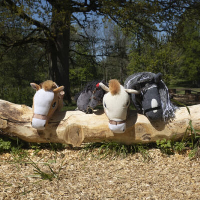 Käpphästbanan Nääs