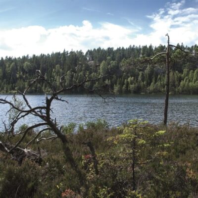 Kednäs naturreservat