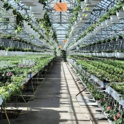 Klockargårdens Handelsträdgård