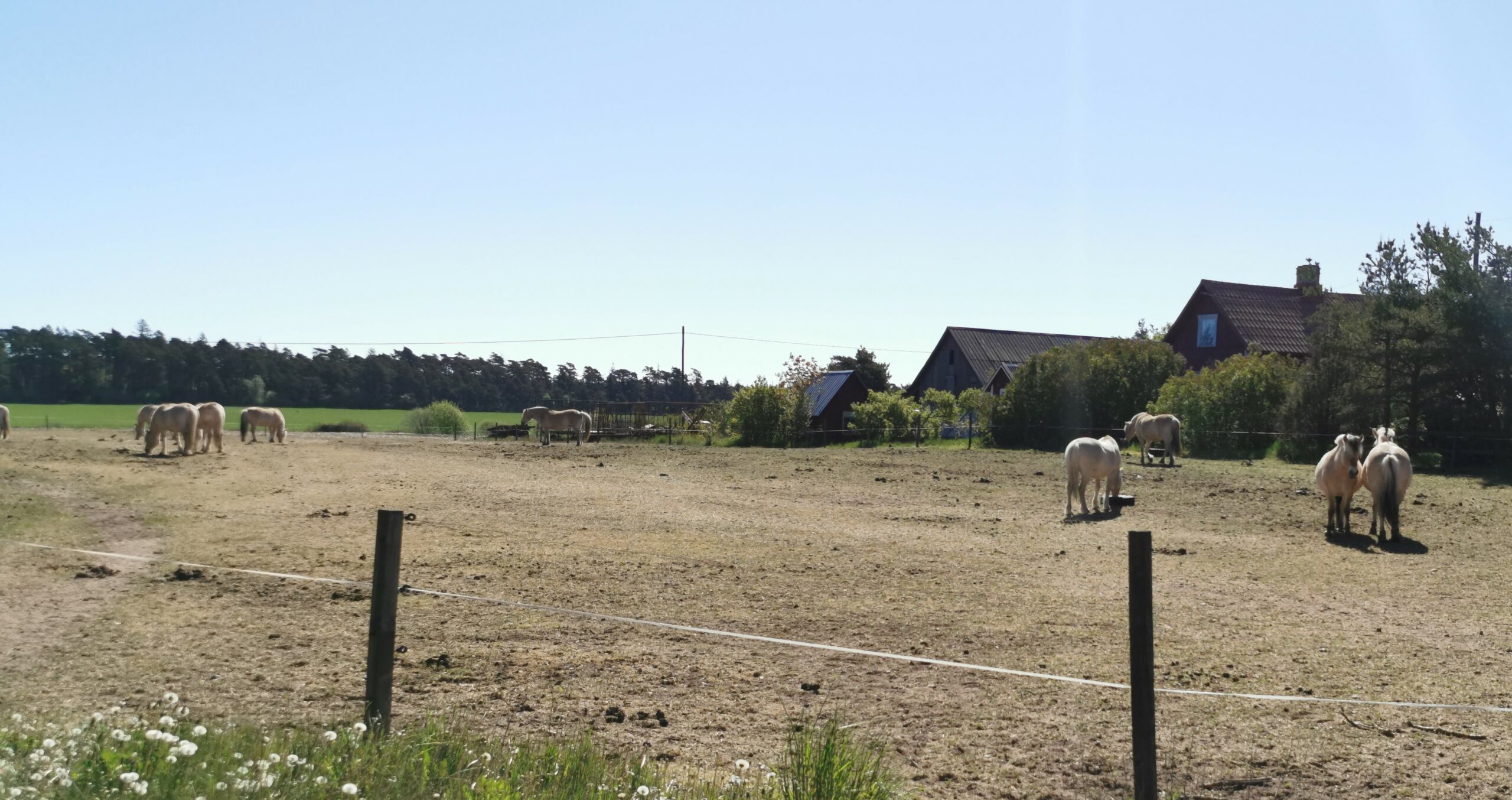 Båtbaren