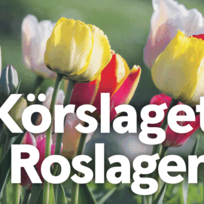 Körslaget i Roslagen