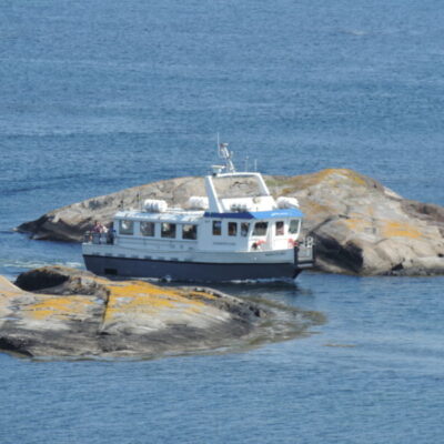Kosterhavet kobbar & skär