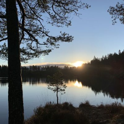 Må-bra-paket: Kriya Yoga Retreat