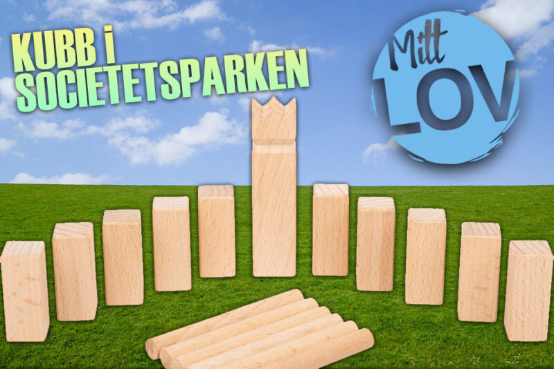 Kubb i Societetsparken
