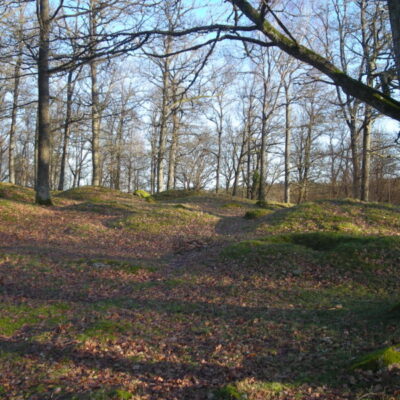 Kummeliberg gravfält