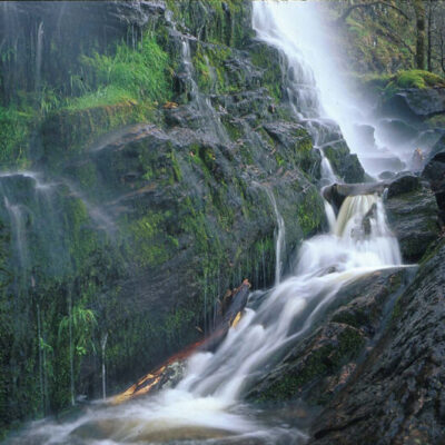 Kviströms naturreservat